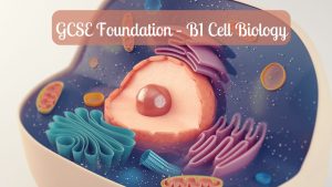 GCSE B1 Cell Biology